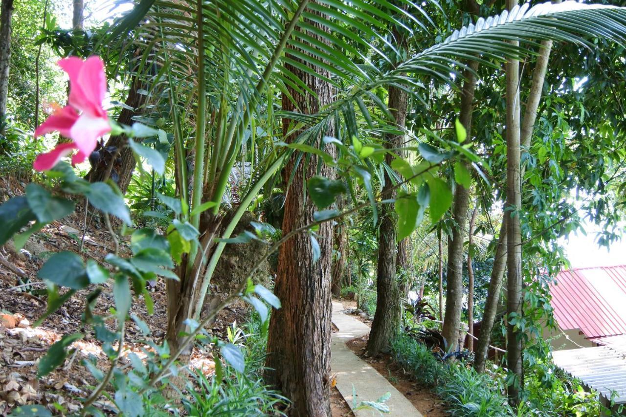 Nice View Bungalow Đảo Koh Chang Ngoại thất bức ảnh